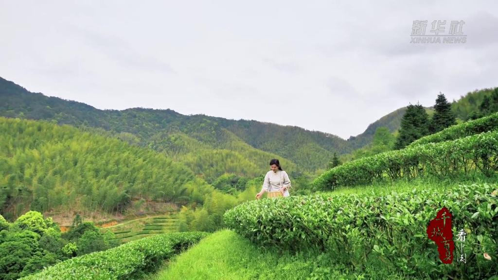 十大茶叶排行榜前10名