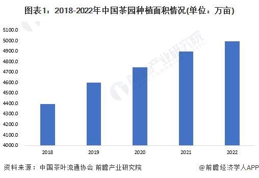 2023年中国茶叶行业市场供需现状分析 