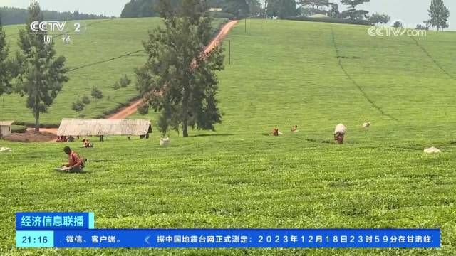 一周茶事 农业农村部发布《茶叶生产应对低温寒潮天气指导意见(图3)