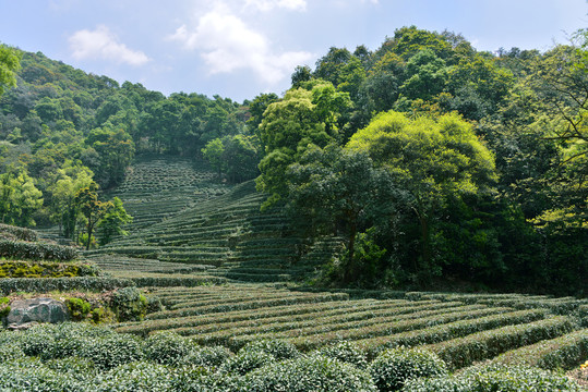 江西消博会年货节送“茶叶蛋”了！(图1)