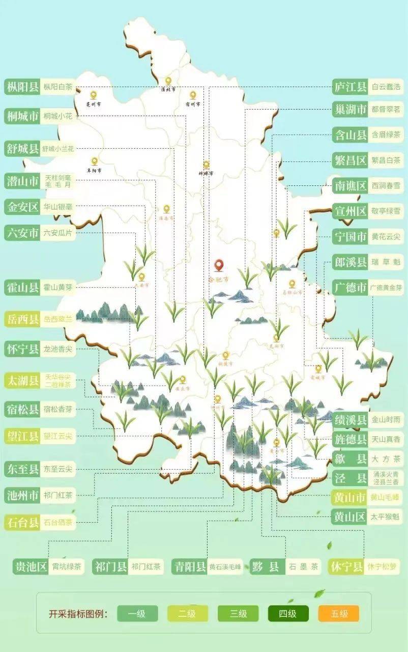 2024年六安茶叶开采日历来了！(图1)